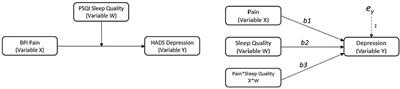 Good Sleep Quality Improves the Relationship Between Pain and Depression Among Individuals With Chronic Pain